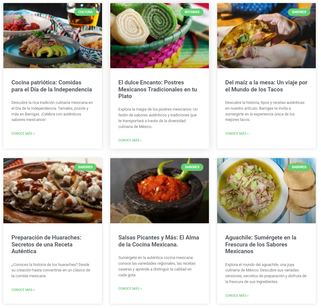 Barrigas SEO blog content